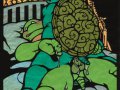 toon_1239937144639_206840_-_Leonardo_Michelangelo_Teenage_Mutant_Hero_Turtles.jpg